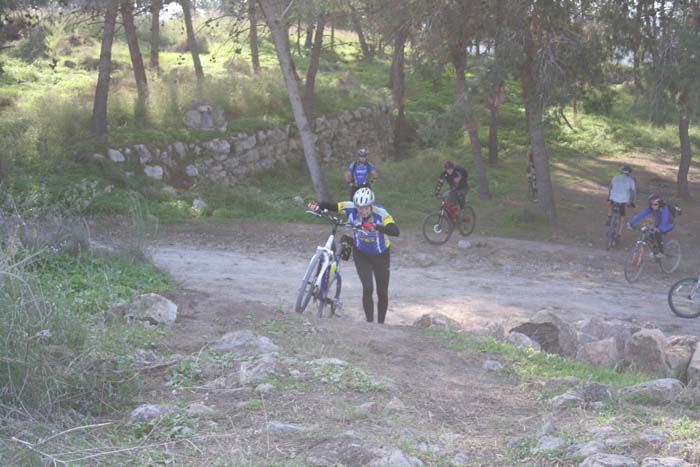 velotiul 087